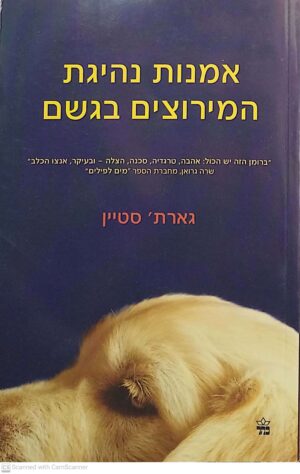 אמנות נהיגת המירוצים בגשם / גארט סטיין