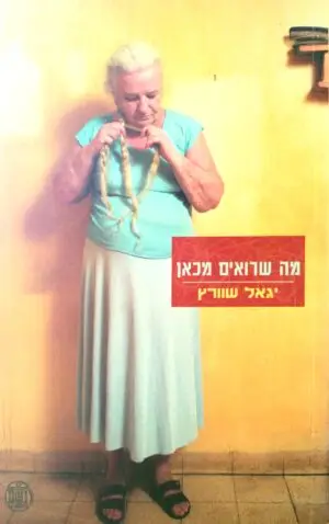 מה שרואים מכאן / יגאל שוורץ