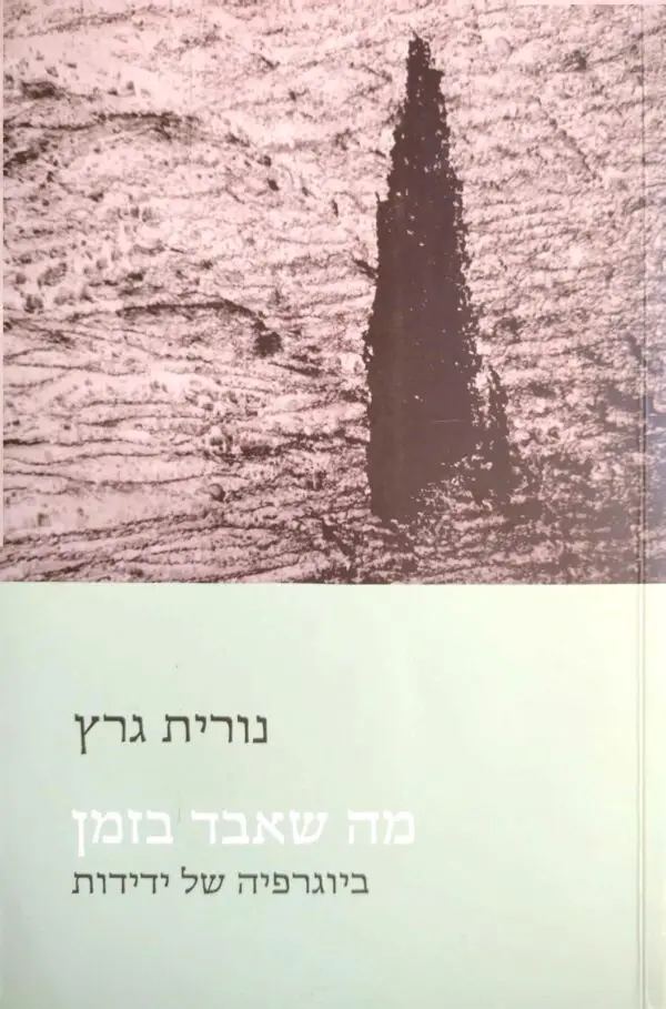 מה שאבד בזמן / נורית גרץ