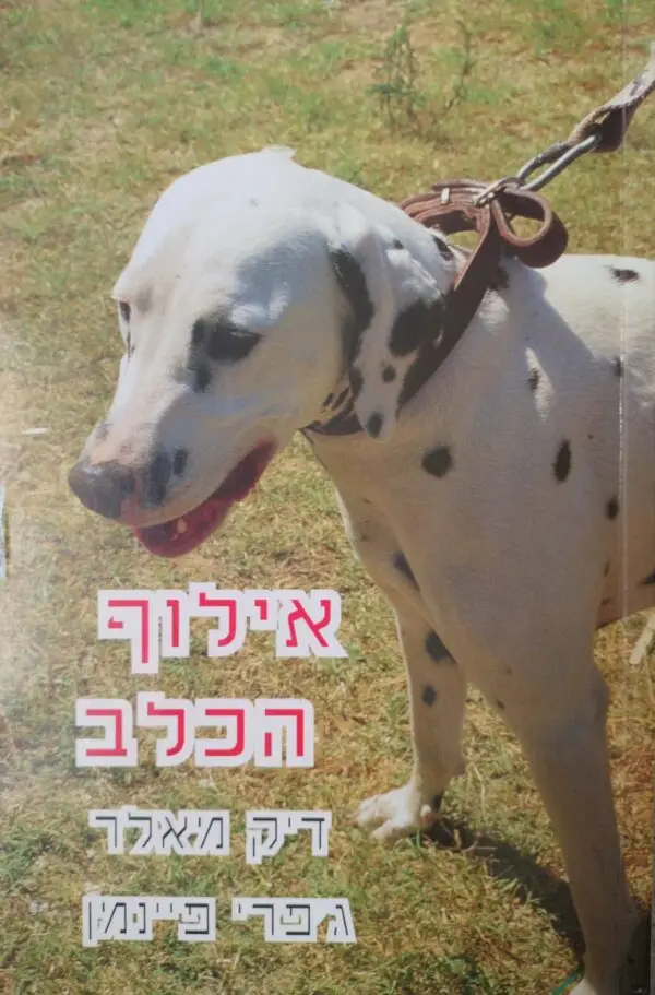 אילוף הכלב / דיק מאלר