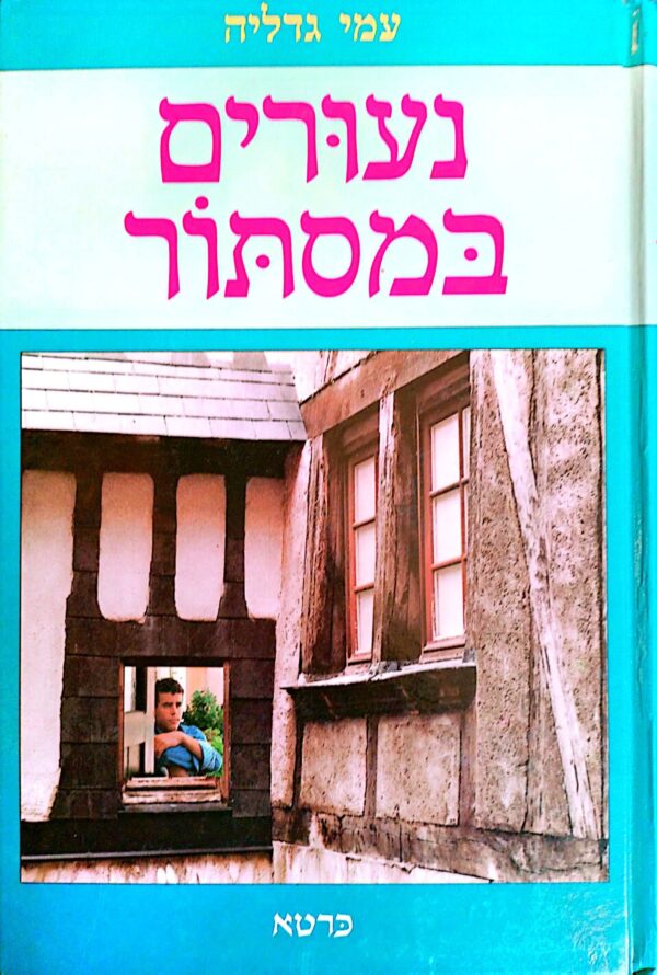 נעורים במסתור / עמי גדליה