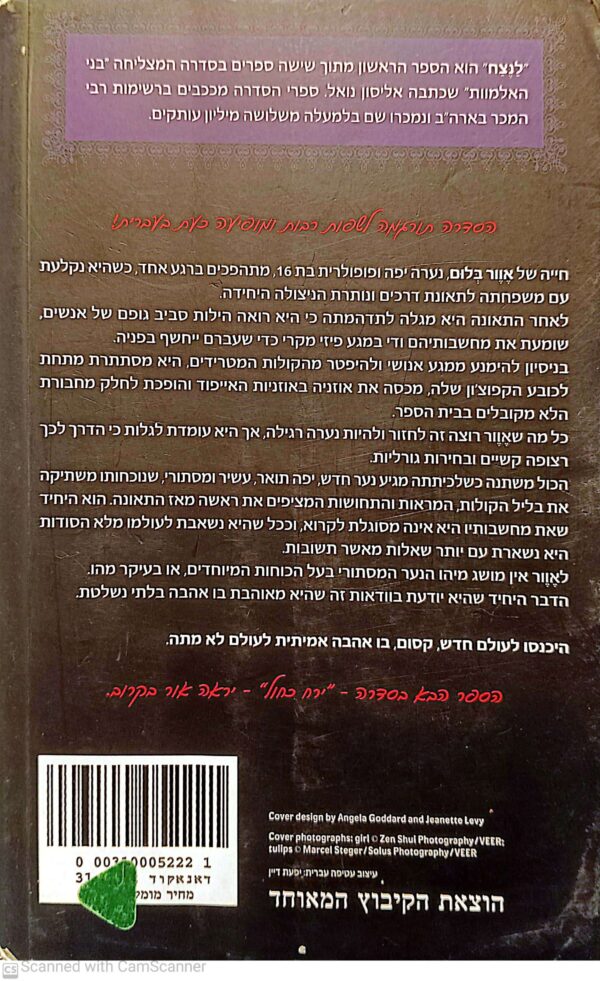 ⁦לנצח / אליסון נואל⁩ – תמונה ⁦2⁩