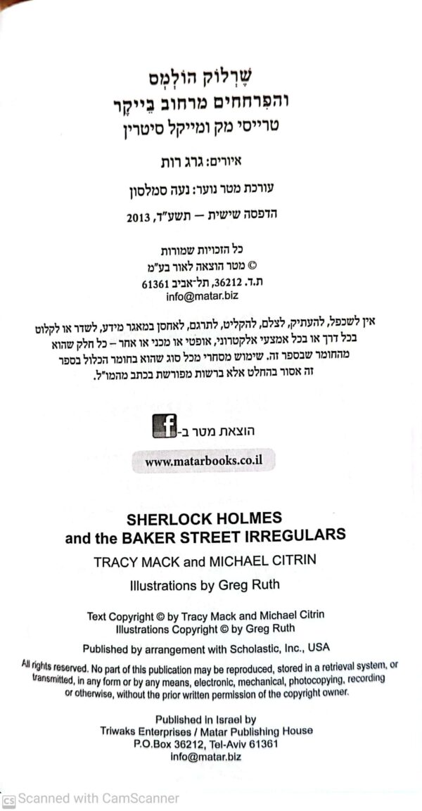 ⁦שרלוק הולמס והפרחחים מרחוב בייקר: הזלינדאים המופלאים/ טרייסי מק ומייקל סיטרין⁩ – תמונה ⁦3⁩