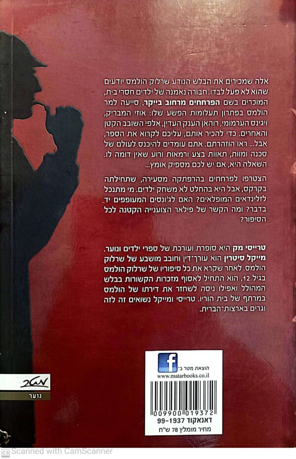 ⁦שרלוק הולמס והפרחחים מרחוב בייקר: הזלינדאים המופלאים/ טרייסי מק ומייקל סיטרין⁩ – תמונה ⁦2⁩