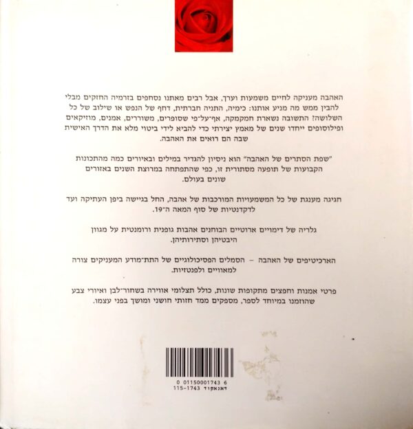 ⁦שפת הסתרים של האהבה / מגאן פטריסידר⁩ – תמונה ⁦3⁩