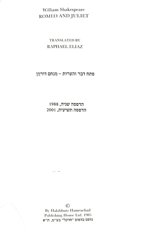 ⁦דני והים הכחול / ג'ואן פטריק שאנלי⁩ – תמונה ⁦2⁩