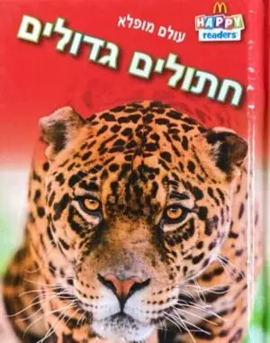 עולם מופלא: חתולים גדולים / מקדונלדס