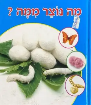 סדרת העשרה לקט: מה נוצר ממה?