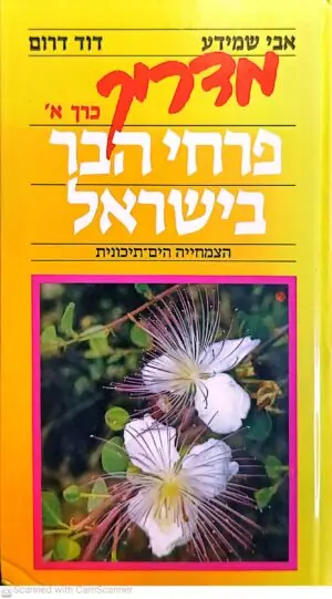 מדריך פרחי הבר בישראל כרך א' / אבי שמידע, דוד דרום