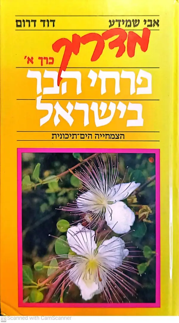 מדריך פרחי הבר בישראל כרך א' / אבי שמידע, דוד דרום