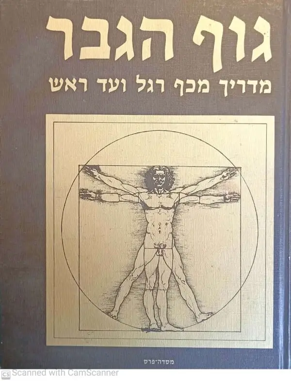 גוף הגבר: מדריך מכף רגל ועד ראש