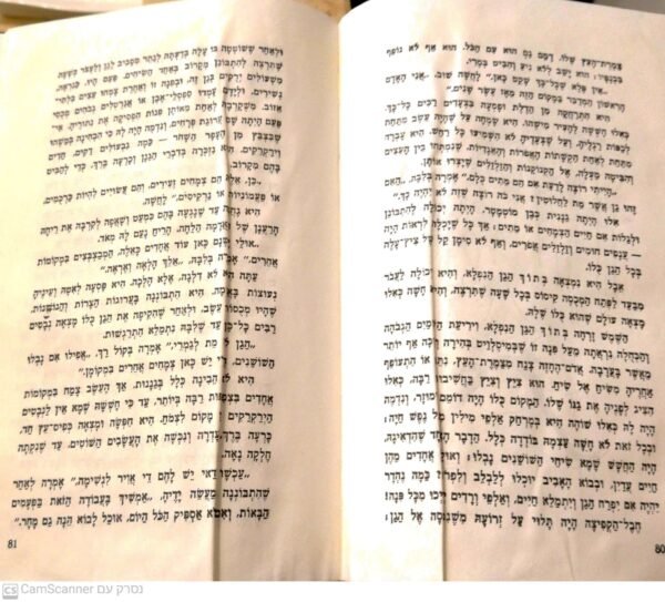 ⁦סוד הגן הנעלם / פרנסס הודג'סון ברנט⁩ – תמונה ⁦4⁩