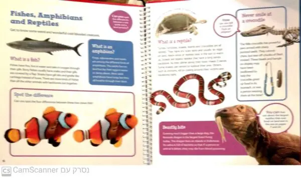 ⁦Kids Only: Fun Facts and Activities for Young Explorers from the Natural History Museum⁩ – תמונה ⁦3⁩