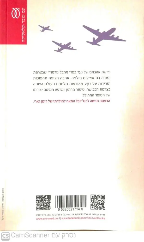 ⁦עפיפונים / רומן גארי (מהדורת 2015)⁩ – תמונה ⁦2⁩
