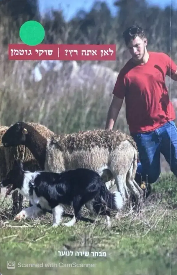 לאן אתה רץ? שוקי גוטמן