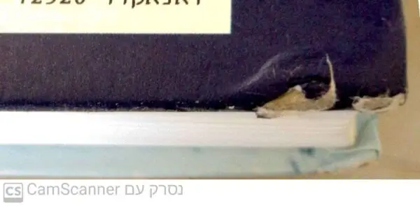 ⁦המנדולינה של קפטן קורלי / לו דה ברנייר (מהד' 2000)⁩ – תמונה ⁦3⁩