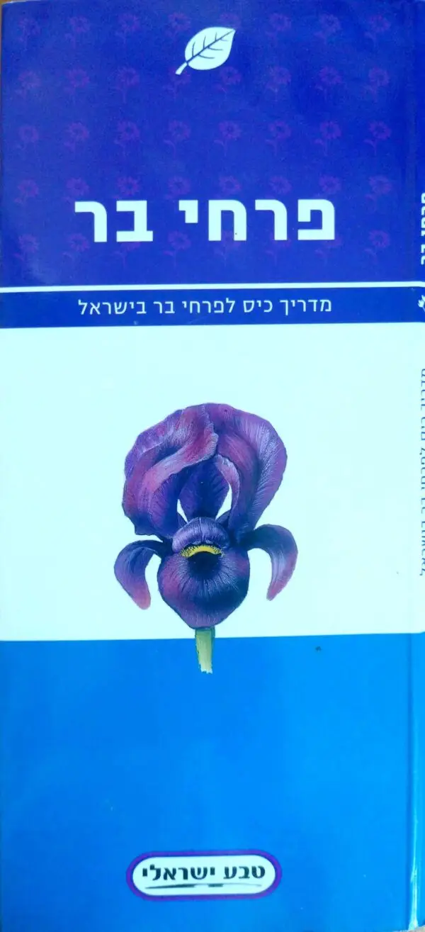מדריך כיס לפרחי בר בישראל