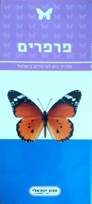 מדריך כיס לפרפרים בישראל