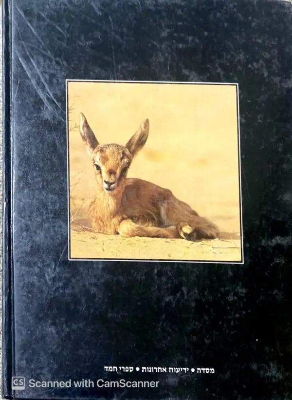 ⁦על עשב השדה וחית הארץ / עוזי פז⁩ – תמונה ⁦2⁩