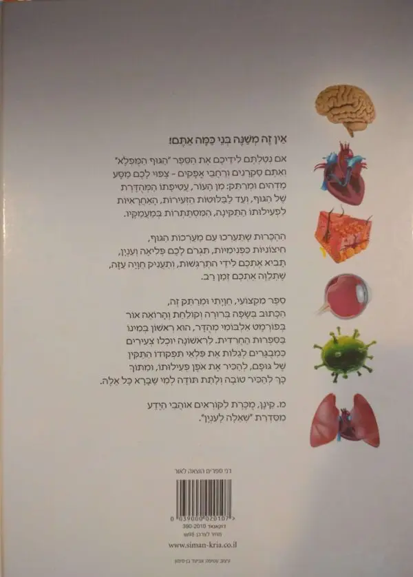 ⁦הגוף המופלא / מ. קינן, א. מרטין⁩ – תמונה ⁦2⁩