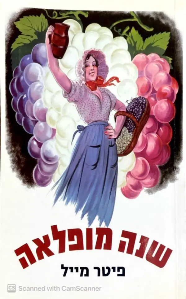 שנה מופלאה / פיטר מייל