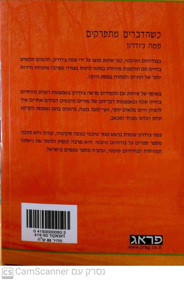 ⁦כשהדברים מתפרקים / פמה צ'ודרון⁩ – תמונה ⁦2⁩