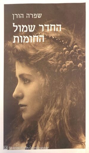 החדר שמול החומות / שפרה הורן