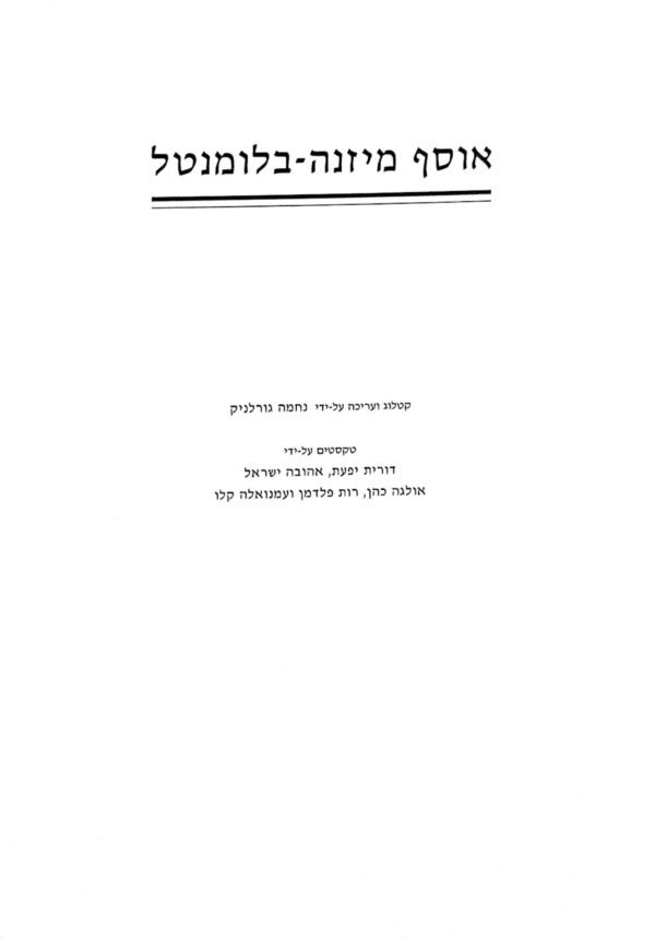 ⁦אוסף מיזנה-בלומנטל / מוזיאון תל-אביב לאמנות, 1994⁩ – תמונה ⁦3⁩