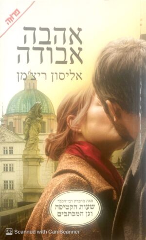 אהבה אבודה / אליסון ריצ'מן