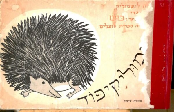 ⁦שמוליקיפוד / כוש⁩ – תמונה ⁦2⁩