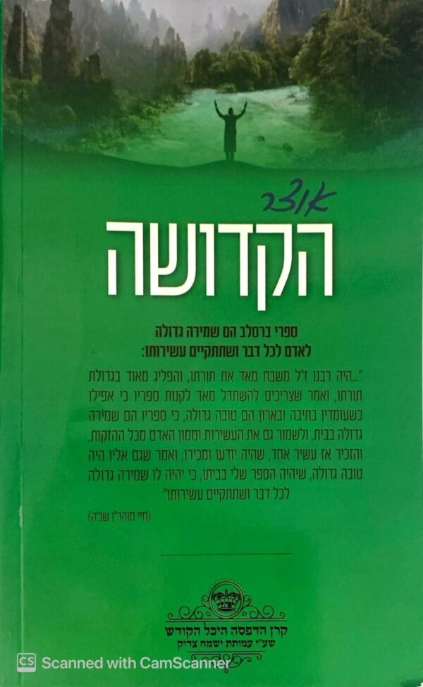 ⁦אוצר הקדושה / כ"ק מוהרא"ש הצדיק מיבנאל (הרב אליעזר שלמה שיק)⁩ – תמונה ⁦2⁩