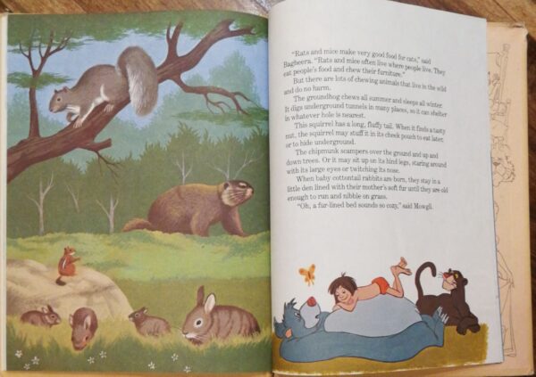 ⁦Walt Disney Fun-To-Learn Library 5: Animals and Their Babies by Disney⁩ – תמונה ⁦3⁩