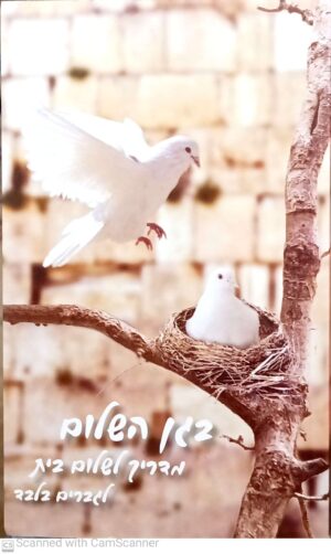 בגן השלום: מדריך לשלום בית לגברים בלבד / הרב שלום ארוש