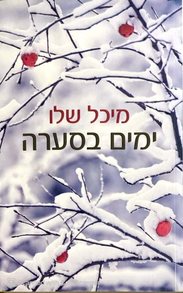 ימים בסערה / מיכל שלו