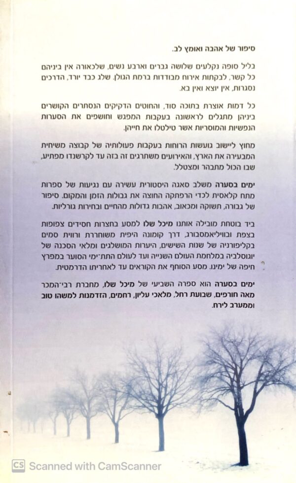 ⁦ימים בסערה / מיכל שלו⁩ – תמונה ⁦2⁩