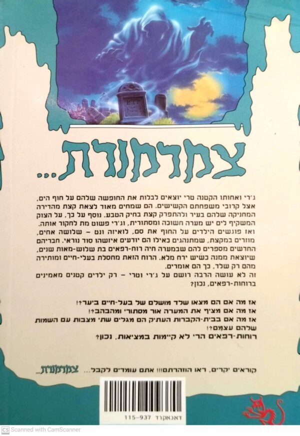 ⁦צמרמורת 7: חוף הרוחות / ר' ל' סטיין⁩ – תמונה ⁦2⁩