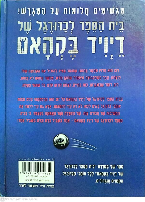 ⁦בית הספר לכדורגל של דיויד בקהאם 2: המפתח לניצחון⁩ – תמונה ⁦2⁩