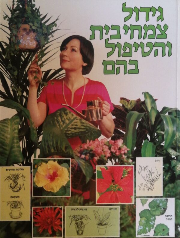 גידול צמחי בית והטיפול בהם / דוד לונגמן