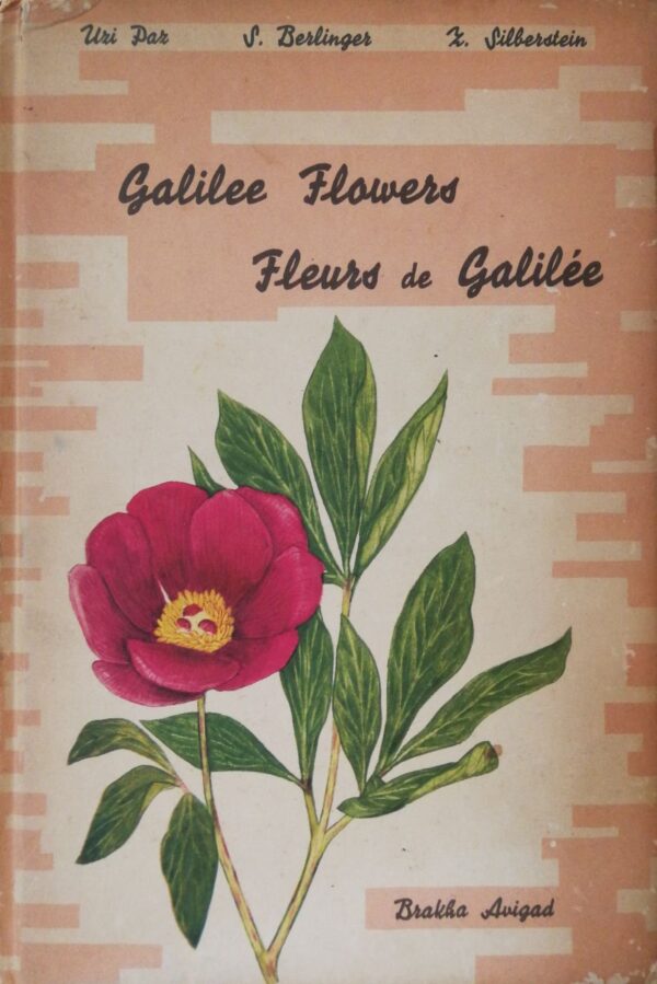 Galilee Flowers / Fleurs de Galilée