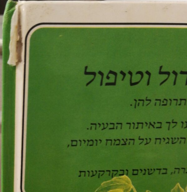 ⁦צמחי אדנית ומרפסת - גידול וטיפול / נורמן סימפסון⁩ – תמונה ⁦3⁩