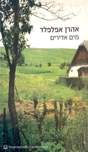 מים אדירים / אהרן אפלפלד