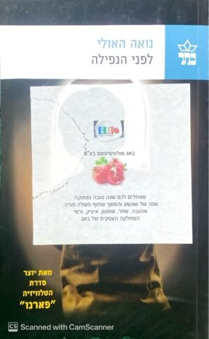 לפני הנפילה / נואה האולי