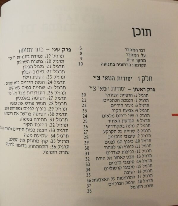 ⁦צעד אחר צעד - טאי צ'י / מאסטר לאם קאם צ'ואן⁩ – תמונה ⁦2⁩