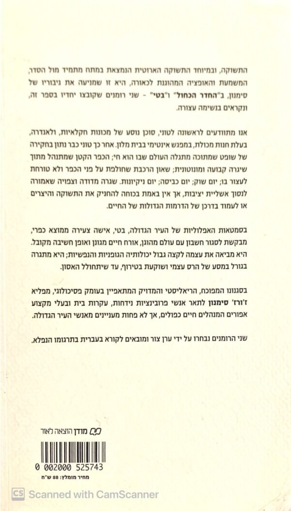 ⁦החדר הכחול / ז'ורז' סימנון⁩ – תמונה ⁦2⁩