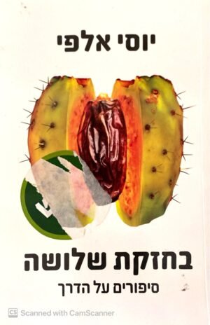 בחזקת שלושה / יוסי אלפי