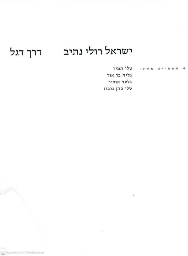 ⁦דרך דגל / ישראל רולי נתיב (משכן לאמנות עין חרוד)⁩ – תמונה ⁦3⁩