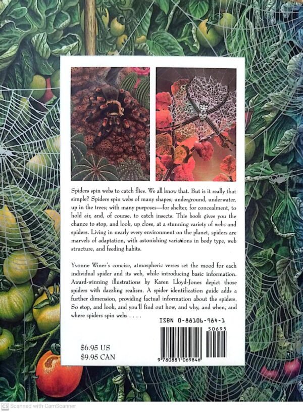 ⁦Spiders Spin Webs / Yvonne Winer, illustrated by Karen Lloyd-Jones (Charlesbridge Publishing, 1998)⁩ – תמונה ⁦2⁩