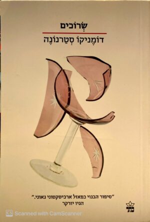 צילום של הספר שרוכים / דומינקו סטרנונה