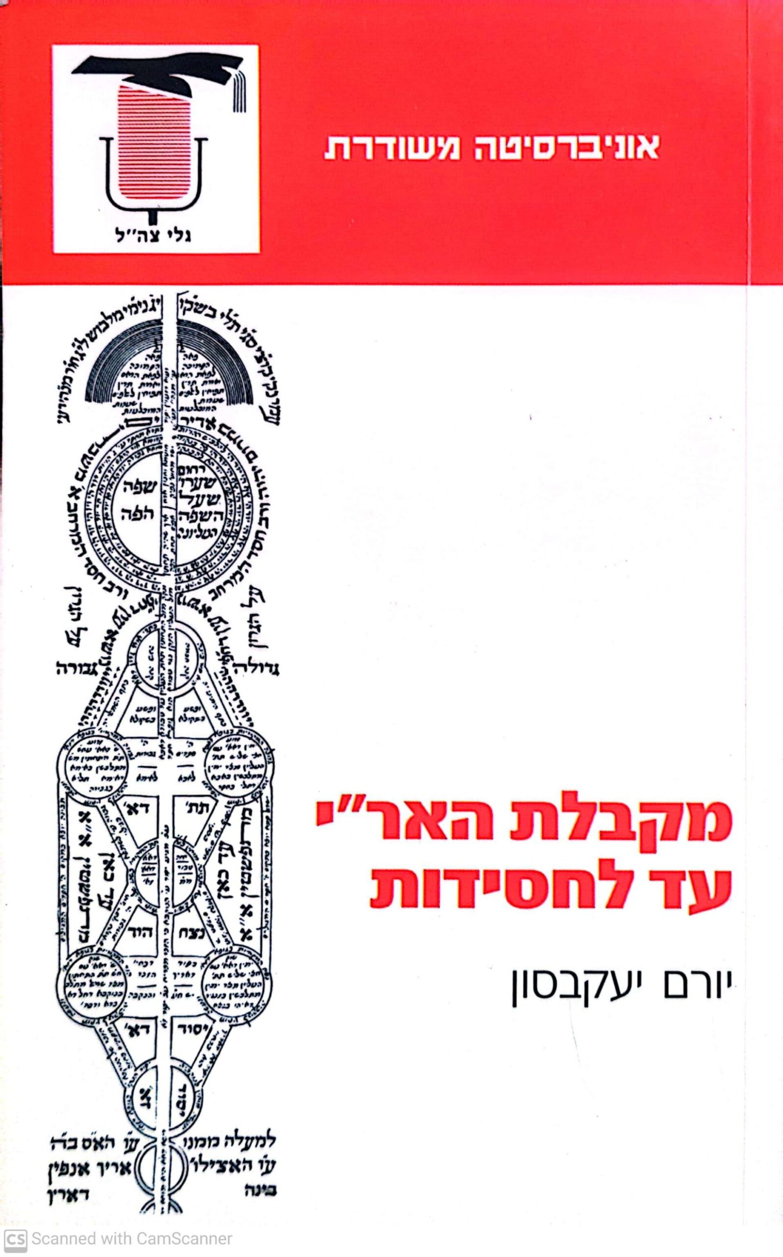 צילום של הספר מקבלת האר"י עד לחסידות / יורם יעקבסון