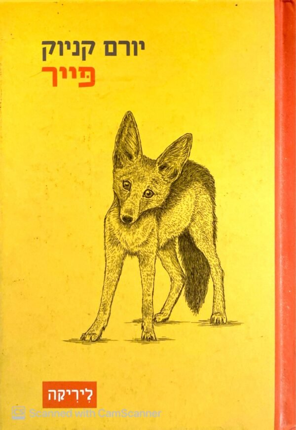 פייר / יורם קניוק